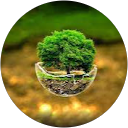 Jack lee profile picture